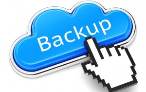 use a website backup service